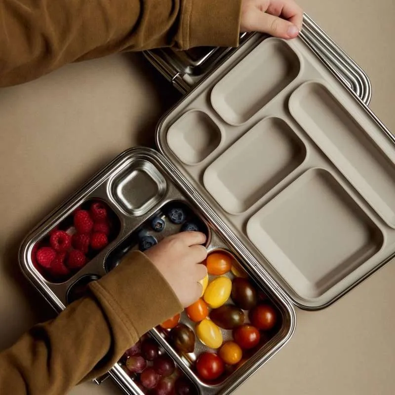 Haps Nordic Haps Box - 5 Compartments - Втвърден