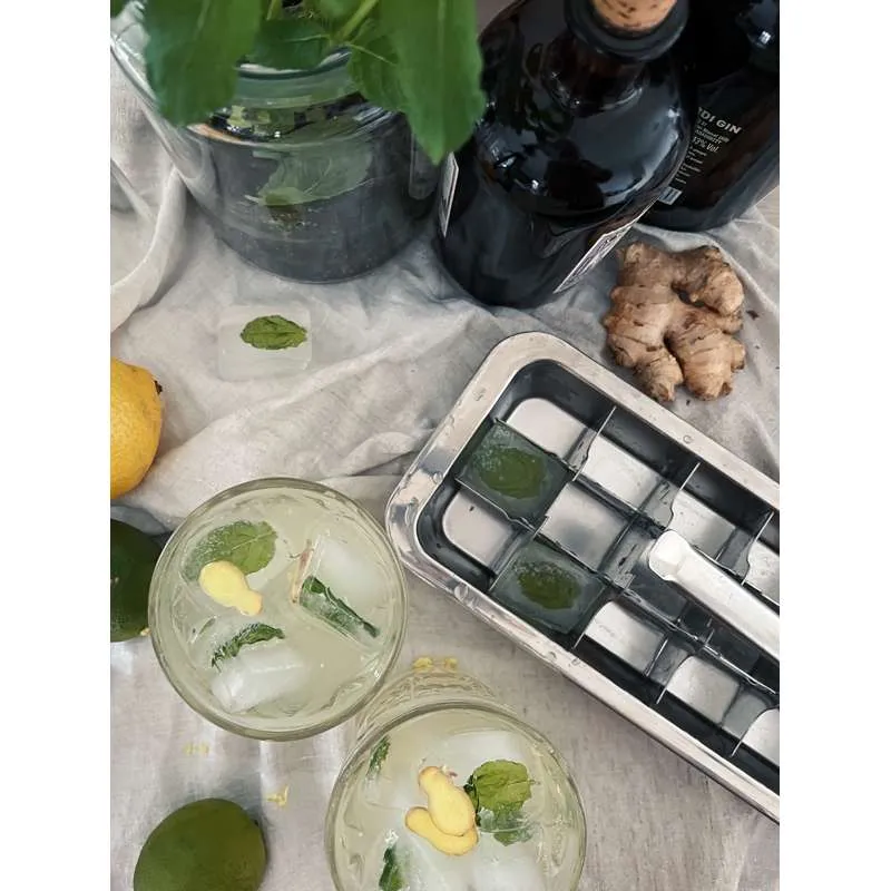 Pulito IceCubeTray Ice cube tray dispenser