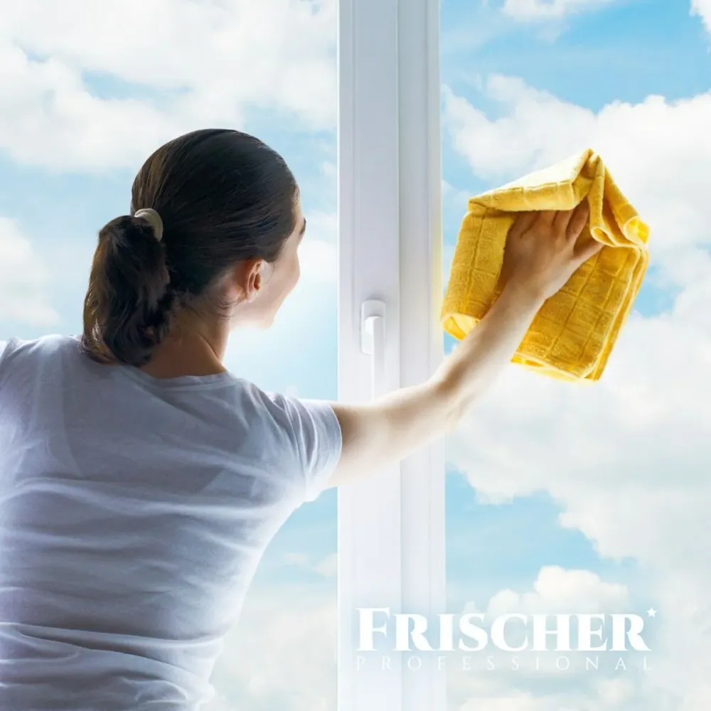 почистващо средство Frischer FR00233_1000