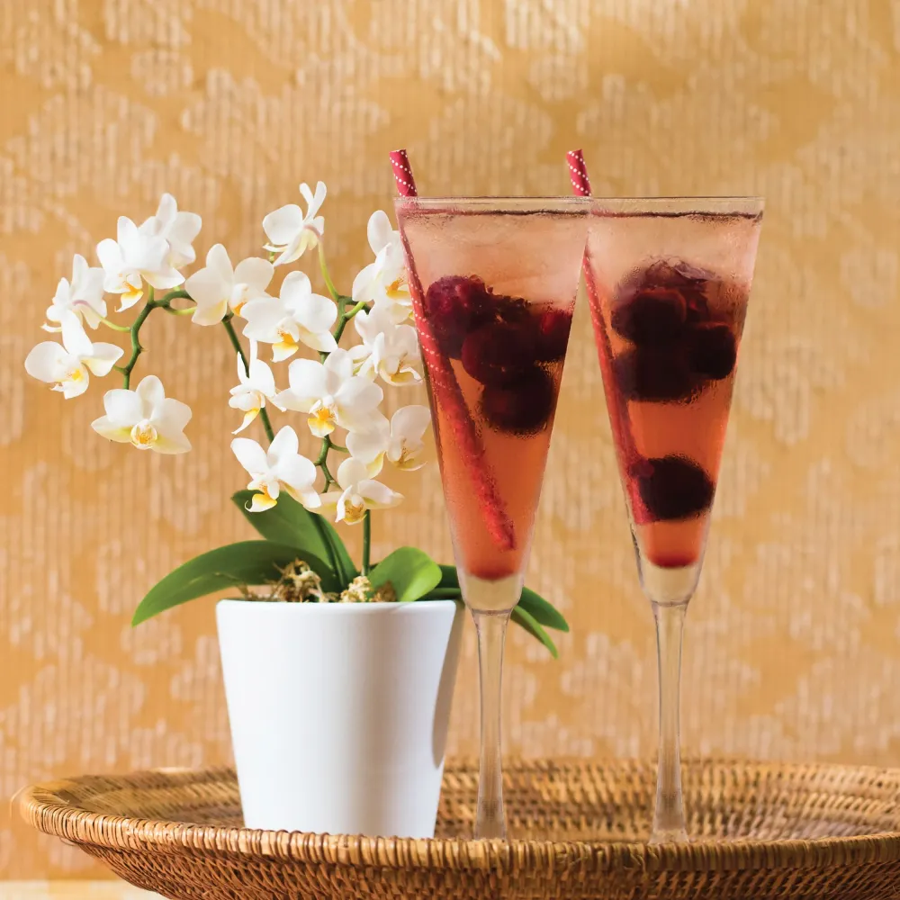 (12 броя) LIBBEY | VINA - Чаша за шампанско - 192 мл