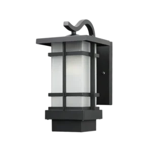 La Lumière Noire