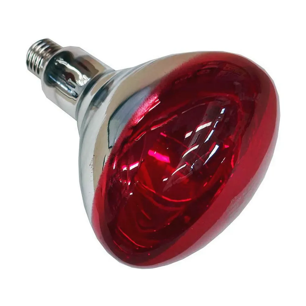 Инфрачервена крушка Philips 923212043801 250 W E27
