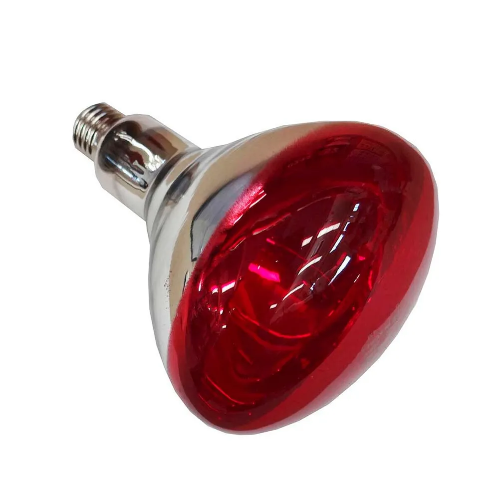 Инфрачервена крушка Philips 923212043801 250 W E27