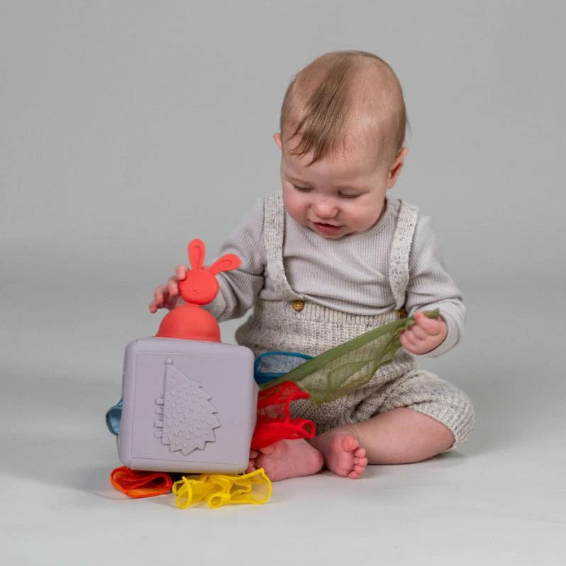 Taf Toys изскачащ контейнер за кърпички