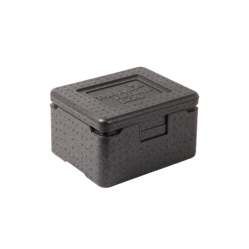 (18 броя) THERMO FUTURE BOX | Thermobox MINI - 7 литра - черен